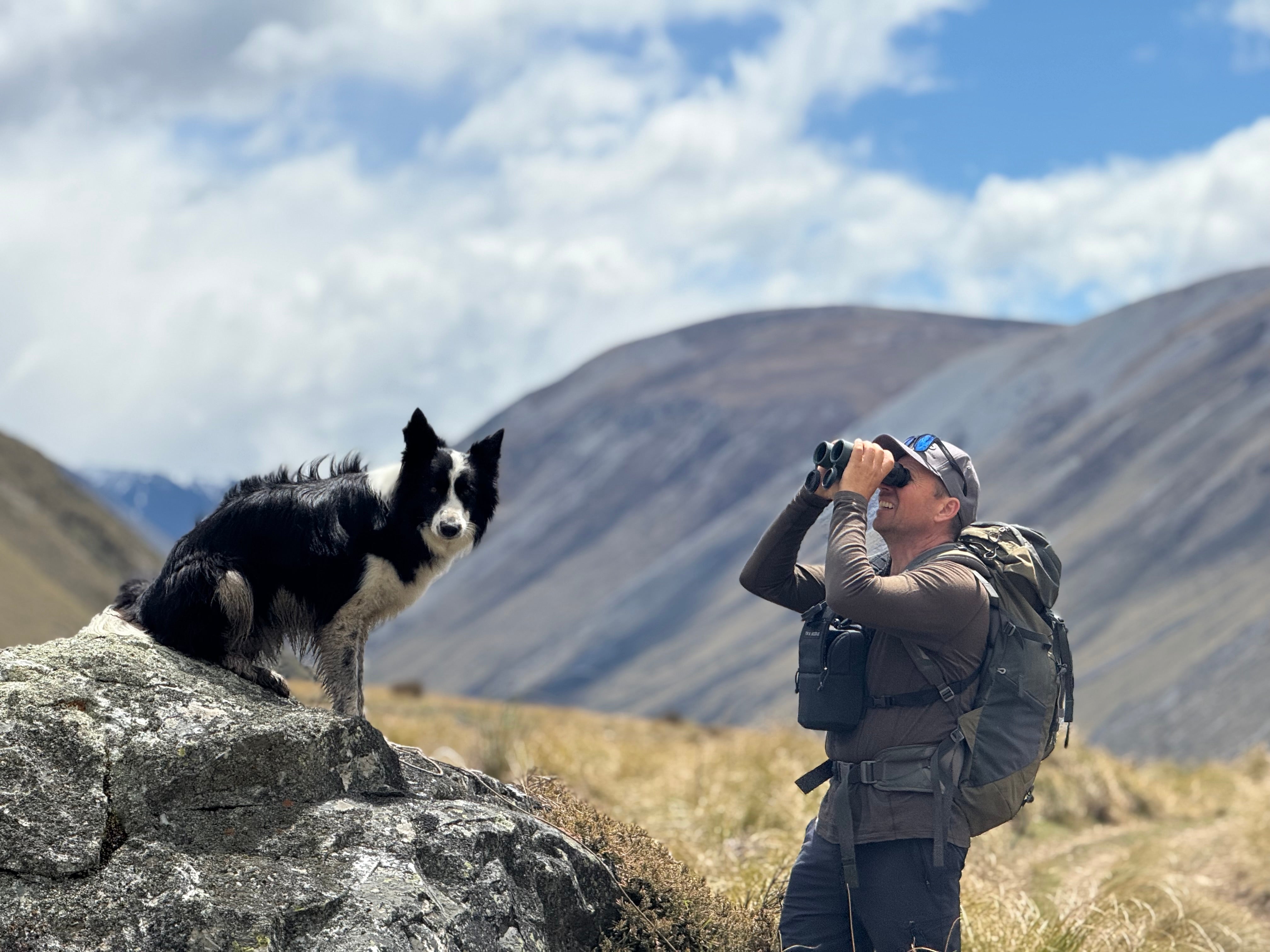 Adult using binoculars in the New Zealand backcountry while a black-and-white dog stands on a rock, with tussock hills and mountains in the background.