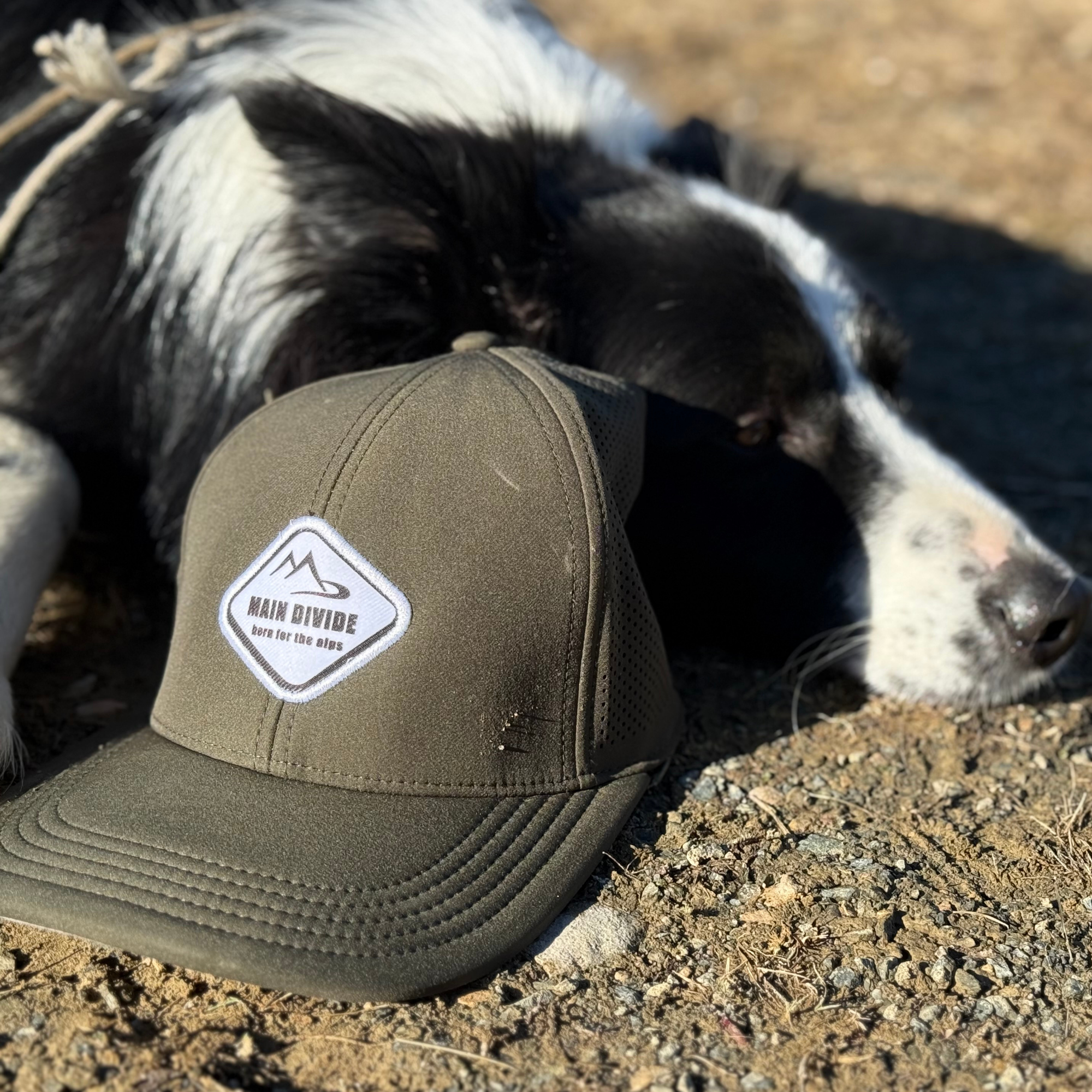 Main Divide Apparel outdoor cap resting beside trail dog - rugged accessory for NZ adventures