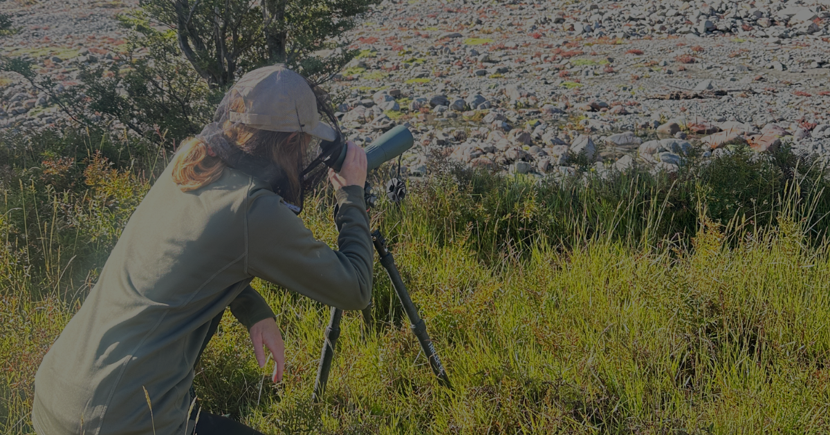 Woman glassing for game with a spotting scope in New Zealand alpine tussock country