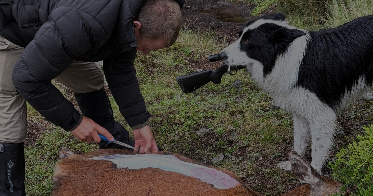 Spring Hunting in NZ: What to Wear When the Weather Can't Decide