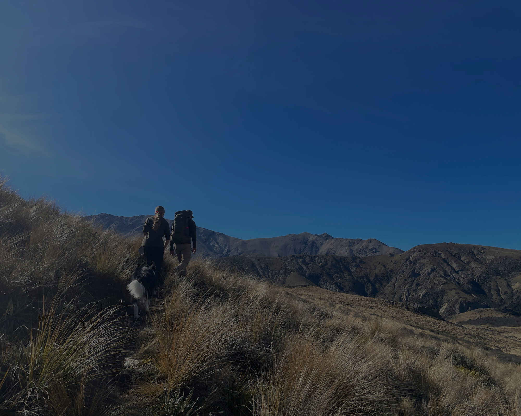 Outdoor adventurers hiking New Zealand backcountry with dog | Main Divide Apparel About Us